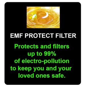 EMF Holographic Filter